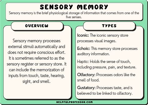 10 Sensory Memory Examples (2024)
