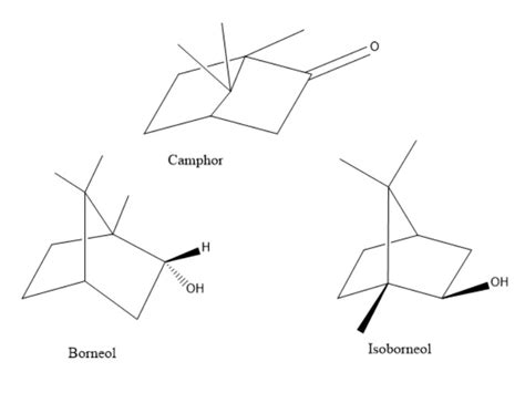 Structure Of Camphor | bartleby