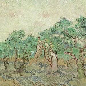 The Olive Trees Painting by Vincent van Gogh - Fine Art America