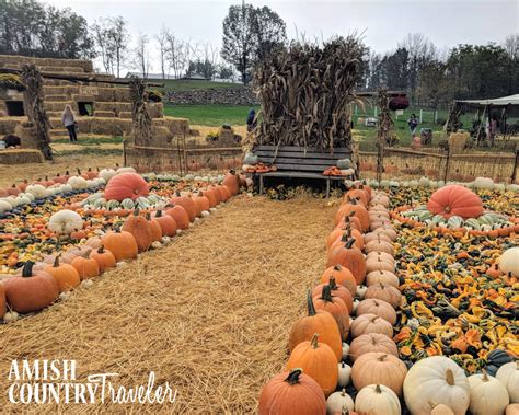 Autumn Adoration: Things to do in Amish Country during Fall