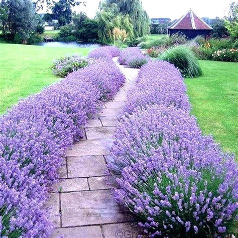 flower garden ideas for full sun designs small perennial bed easy decorating beautiful flo ...