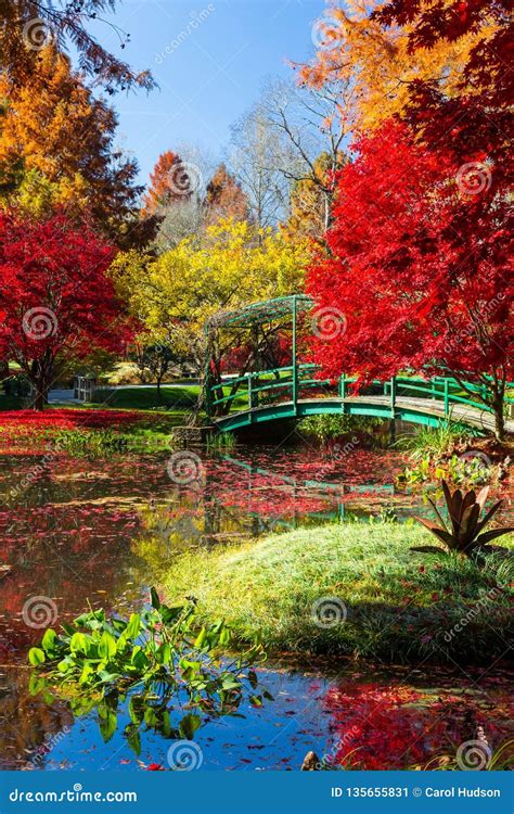 Vibrant Red, Yellow and Orange Foliage at Gibbs Gardens in Georgia in ...