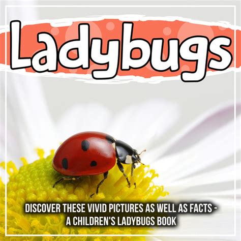 Ladybugs: Discover These Vivid Pictures As Well As Facts - A Children's Ladybugs Book - eBook ...