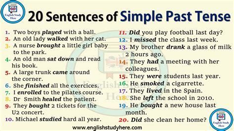 20 Sentences in Simple Past Tense - English Study Here