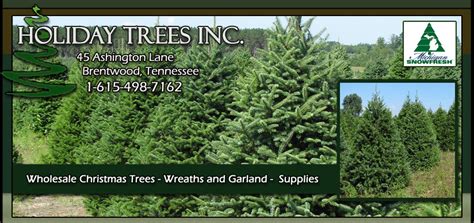 Wholesale Christmas Trees | Holiday Trees Inc