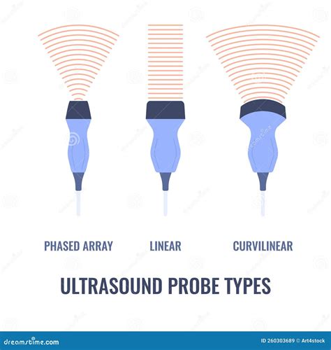 Different Parts Of A Linear Phased Array Transducer