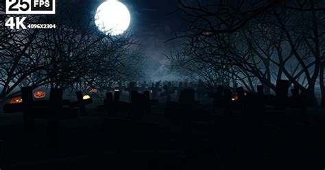 Halloween Night 4K, Stock Video - Envato Elements