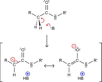 Acetaldehyde Enolate