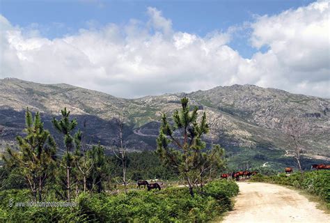 Peneda-Gerês National Park, Portugal