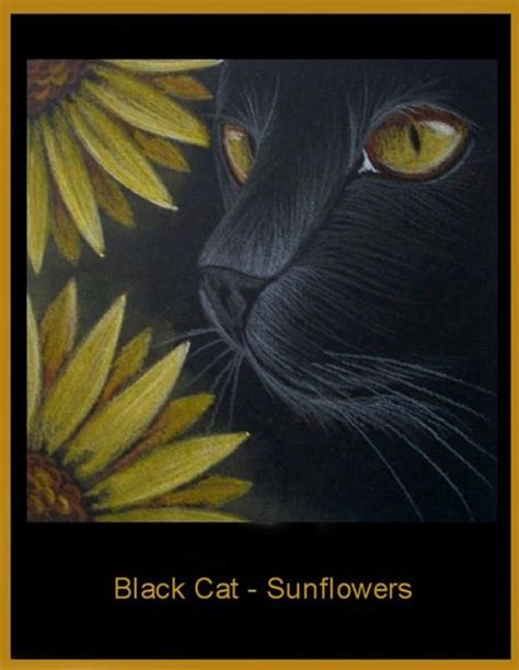 Black Cat - Sunflowers - by Cyra R. Cancel from Gallery