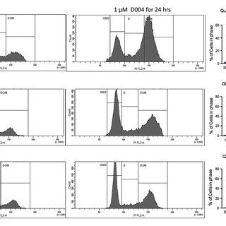 D004 treatment alters cell cycle arrest mechanisms | Download ...