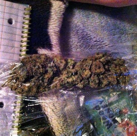 Half oz of fire buds... : trees