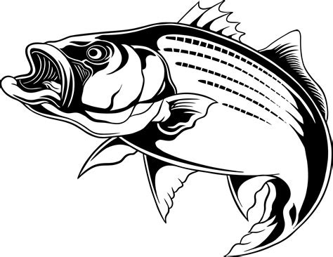 fish line art vector 21335606 Vector Art at Vecteezy