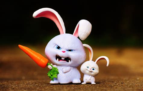 Cute Rabbit Cartoon Wallpaper Hd : Cute Cartoon Bunny Wallpapers | Bodewasude