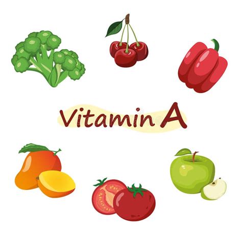 Vegetables and Fruits Set of Vitamin a Stock Vector - Illustration of lifestyle, plant: 218896003