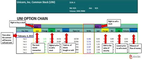 Option Chain | Examples, Components, Features, How to Read it?