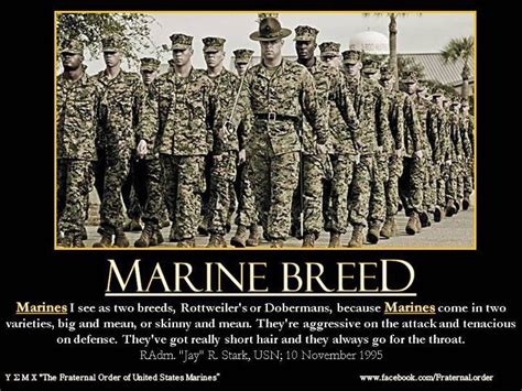 Pin by Jim Swords on All things MARINE | Usmc quotes, Marine corps ...