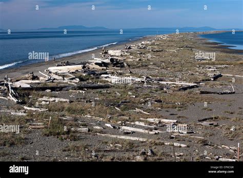 Sand Spit - Dungeness National Wildlife Refuge - Sequim, Washington USA Stock Photo - Alamy