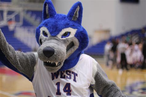 a mascot in a blue and white uniform on a basketball court with his ...