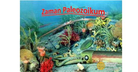 Zaman Paleozoikum atau Zaman Pembagian - Triks12