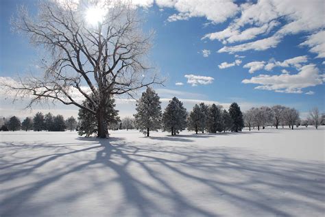 Snowy Day – Mountain Metal Arts