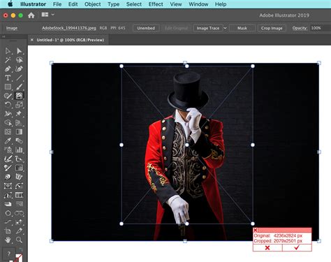 How to crop and trim a photo in Adobe Illustrator | Astute Graphics