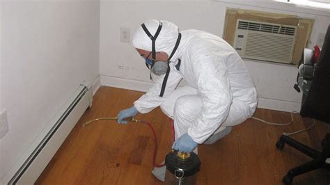 纽约杀虫公司 NYC Pest Exterminating - Pest Control Service in Brooklyn