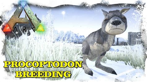 ARK SURVIVAL EVOLVED - PROCOPTODON BABY BREEDING [GERMAN/DEUTSCH] - YouTube