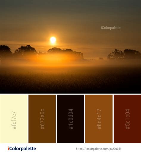 Color Palette ideas from 1137 Sunlight Images | iColorpalette | Color palette design, Color ...