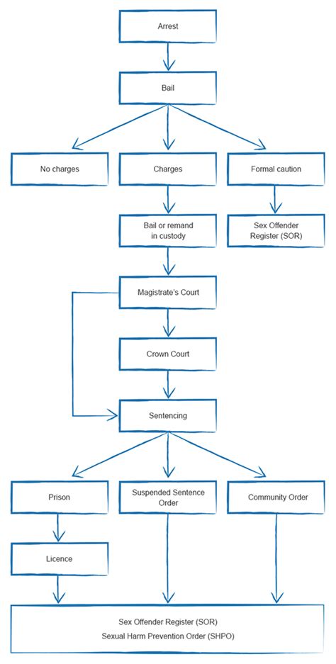 Criminal Justice Process Flow Charts