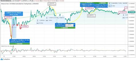 Binance Coin Reflects Dramatic Movement on Intraday Chart