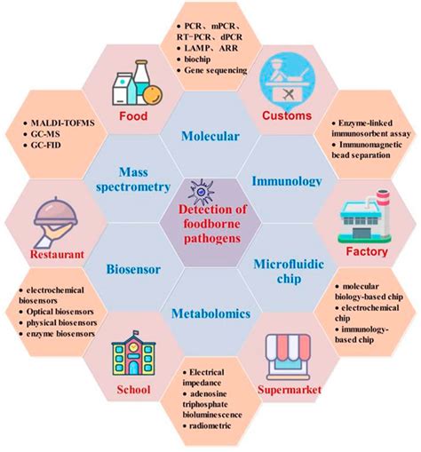 Frontiers | Research progress on detection techniques for point-of-care ...