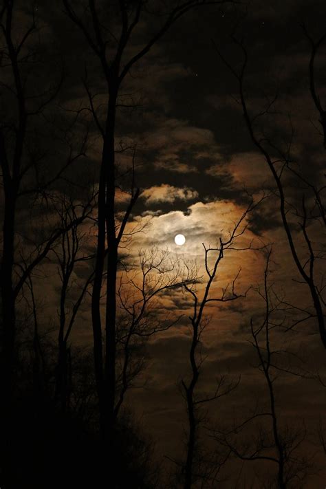 Full Moon Dark Spooky - Free photo on Pixabay