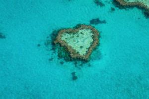 Heart Reef, Great Barrier Reef