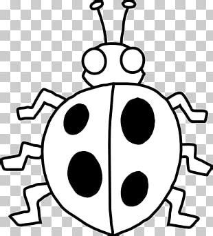 Beetle Monochrome Black And White PNG, Clipart, Animals, Beetle Frame ...