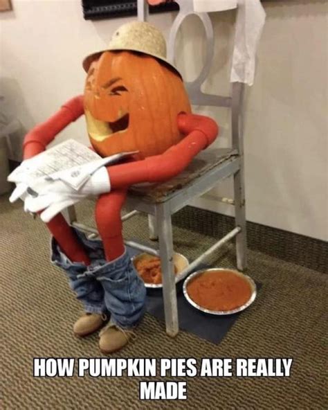 25 Best Pumpkin Memes And Jokes For Fall Lovers