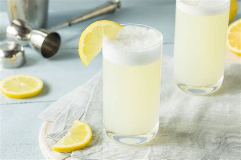 Gin Fizz Cocktail Recipe- MyBartender