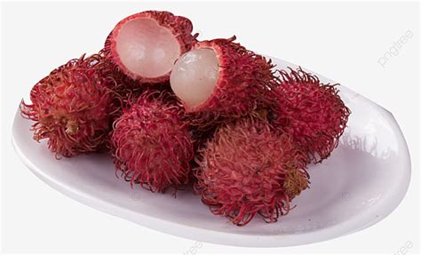 Gambar Rambutan Kartun – denah