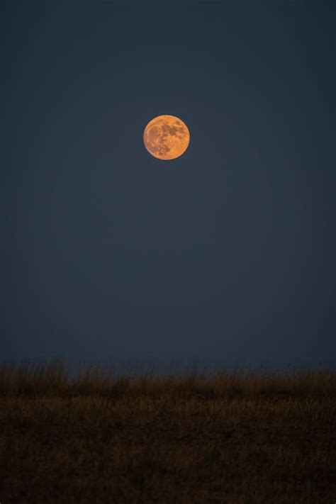 Orange Full Moon · Free Stock Photo