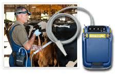 Benefits of Using Cattle Ultrasound Machine | KeeboVet Bovine Medical