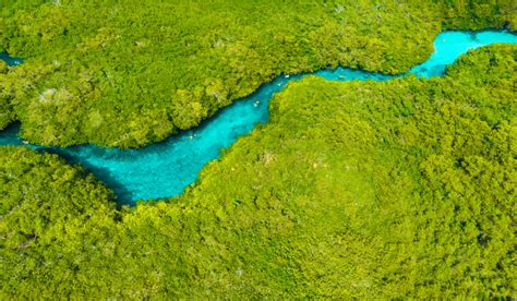 Cenote Manatee (Casa Cenote) | Loco Gringo