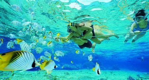 | Tioman Snorkeling Tour Packages