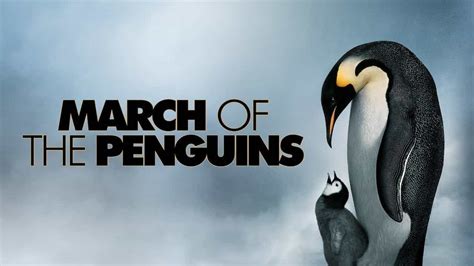 March of the Penguins (2005) | Watch Free Documentaries Online