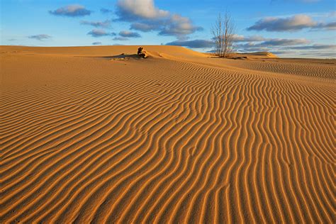 Silver Lake Sand Dunes Photograph by Dean Pennala - Fine Art America