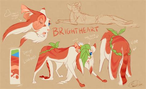 Brightheart | Design Sheet by Loafbud | Warrior cats art, Warrior cat oc, Warrior cats