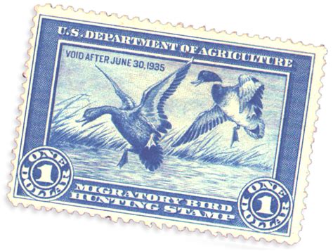 The Duck Stamp Turns 80 | OutdoorHub