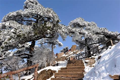 Yellow Mountain in Winter, Travel Photos of Yellow Mountain China, Mt ...