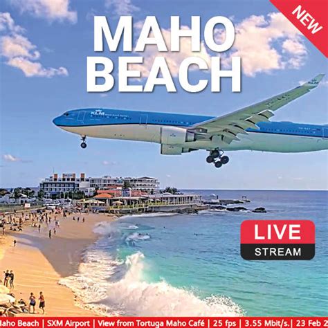 Maho Beach Webcam - Live plane tracking 7 days a week!