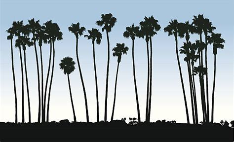 Southern California Clip Art, Vector Images & Illustrations - iStock