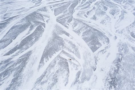 Svalbard reindeer - Stefano Unterthiner